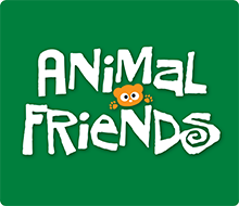 Craft Box – Animal Friends
